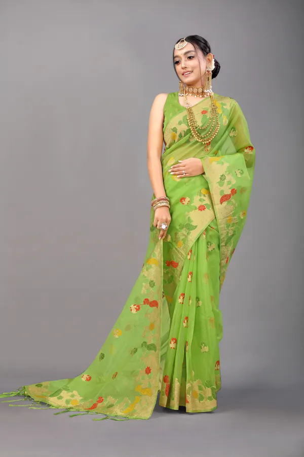 LIGHT_GREEN_WOVEN_WORK_ORGANZA_SAREE